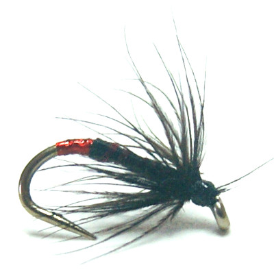 softhackles.com – Soft Hackle Wet Fly – Red Tag Spider