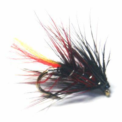 softhackles.blog – palmered wet flies - Clan Chief