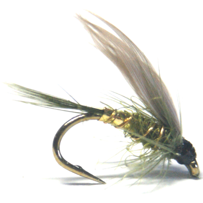 softhackles.blog – winged wet flies - McLeods Olive